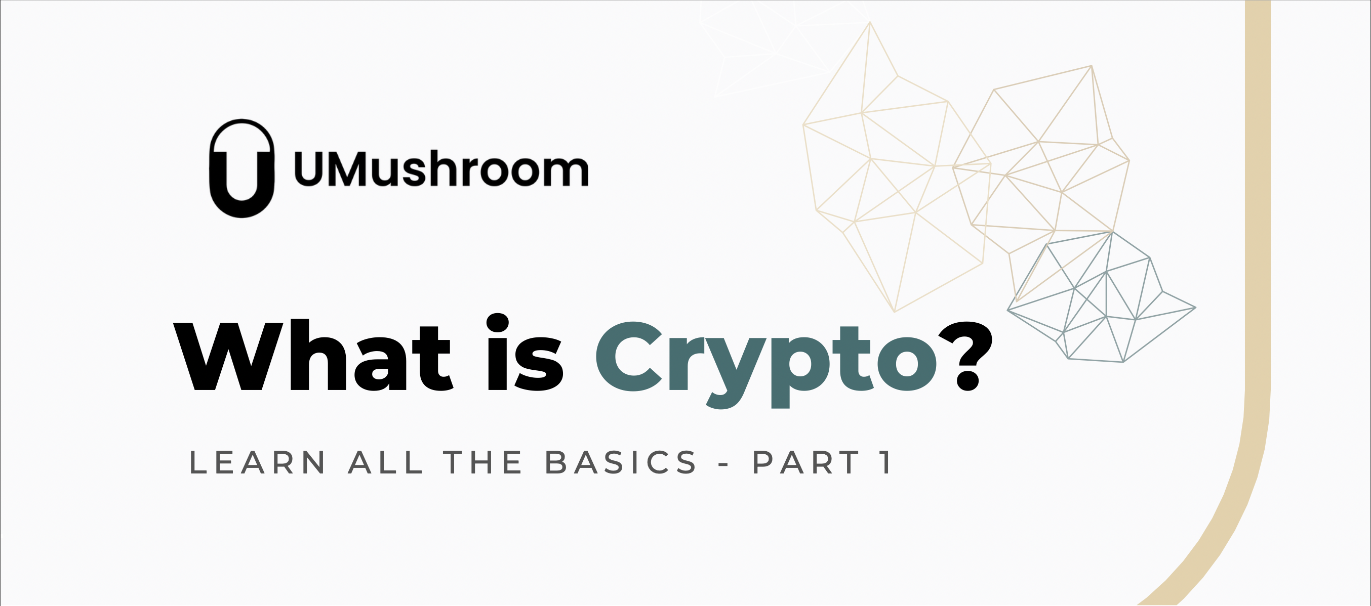 Crypto - What is crypto, what does it mean, how does it work, and can I be a millionaire too?
