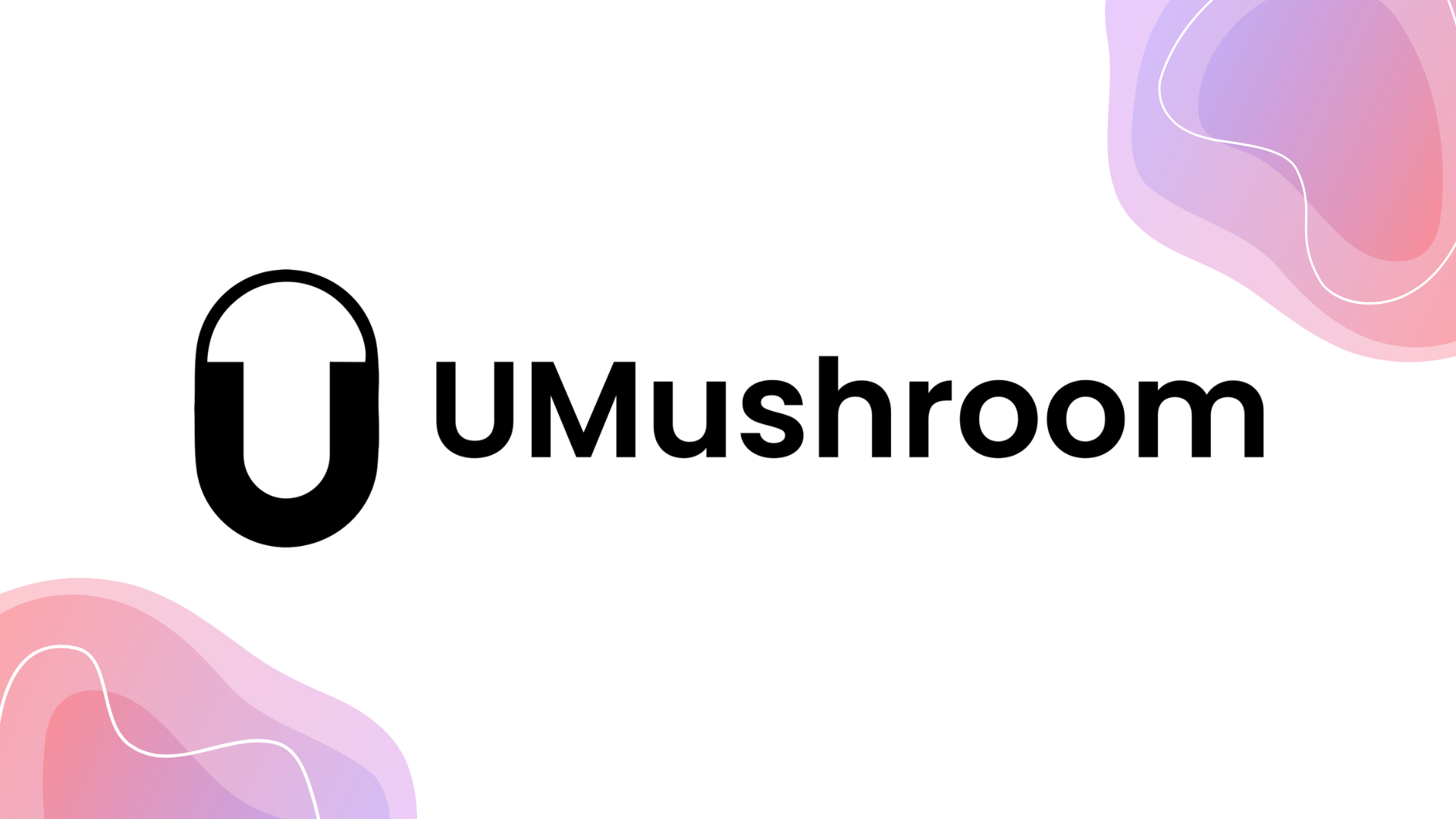 Quelle plateforme financière convient à quel investisseur