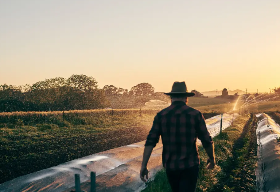 Navigating the waters: Assessing company impact on water scarcity