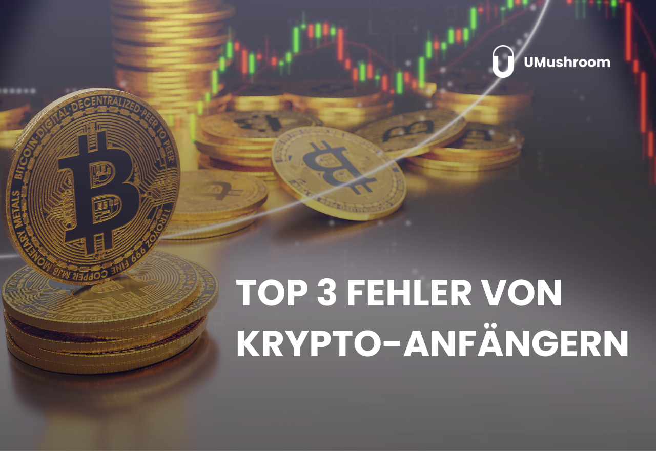 Die 3 größten Fehler, die Krypto-Einsteiger machen – und wie du sie vermeidest
