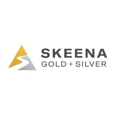 Skeena Resources Limited logo image