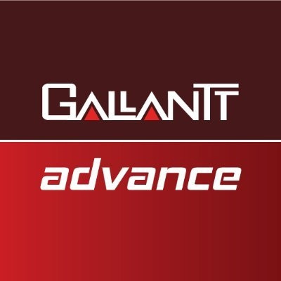 Gallantt Ispat Limited