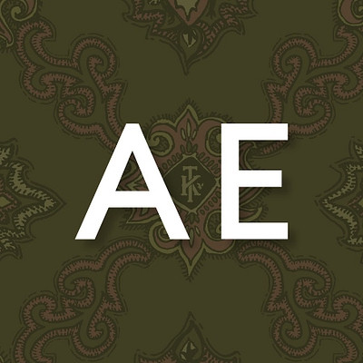 American Eagle Outfitters Inc logo image
