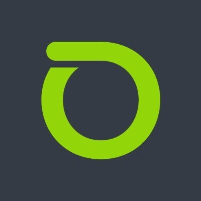 Netscout Systems Inc logo image