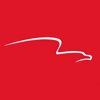 American Financial Group Inc logo image