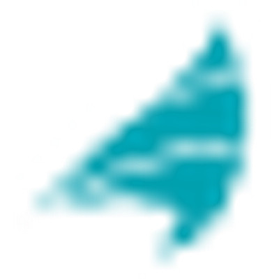 Seacoast Banking Corp of Florida logo image